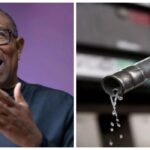 Mismanagement Of Subsidy Proceeds Not Reason To Reverse Removal, Says Obi